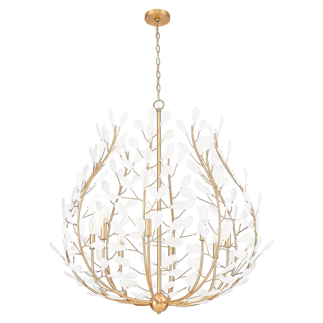 8 Light Chandelier