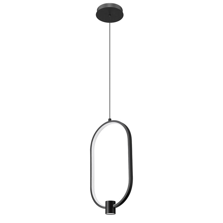 1 Light Pendant