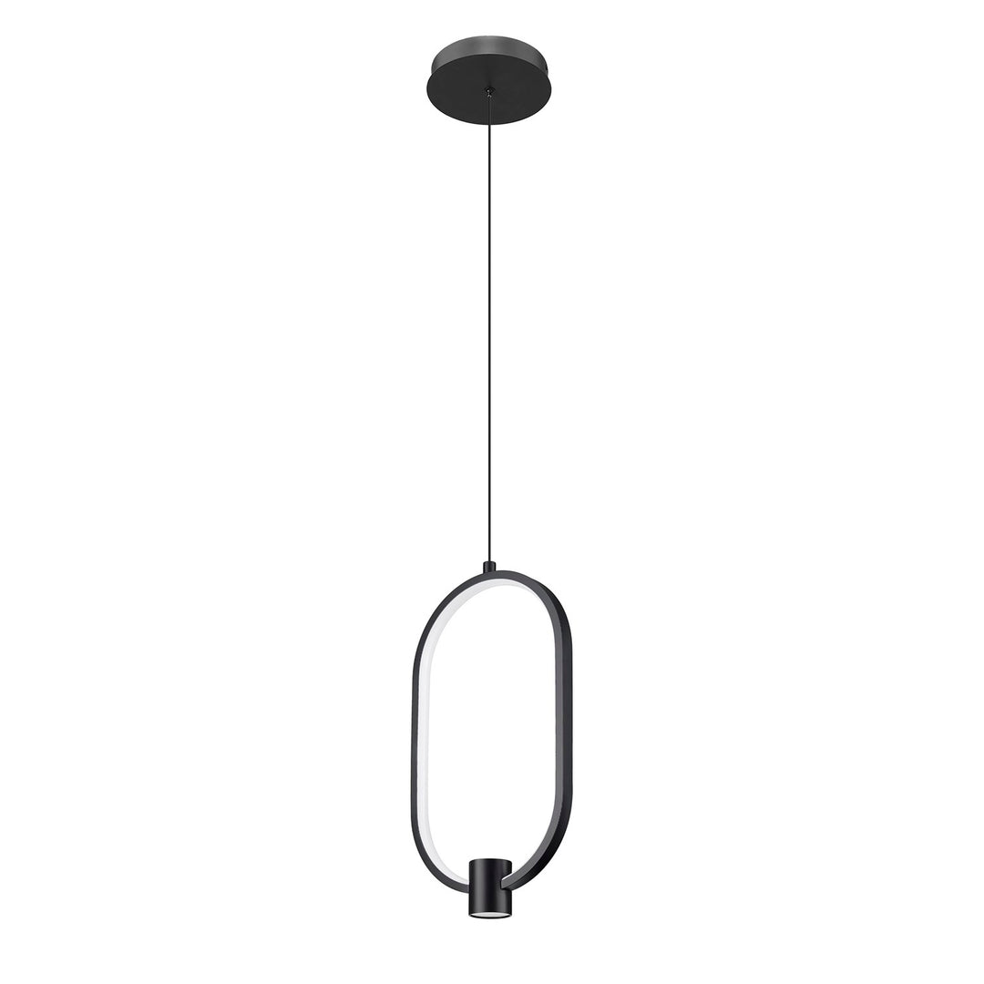 1 Light Pendant