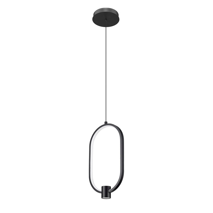 1 Light Pendant