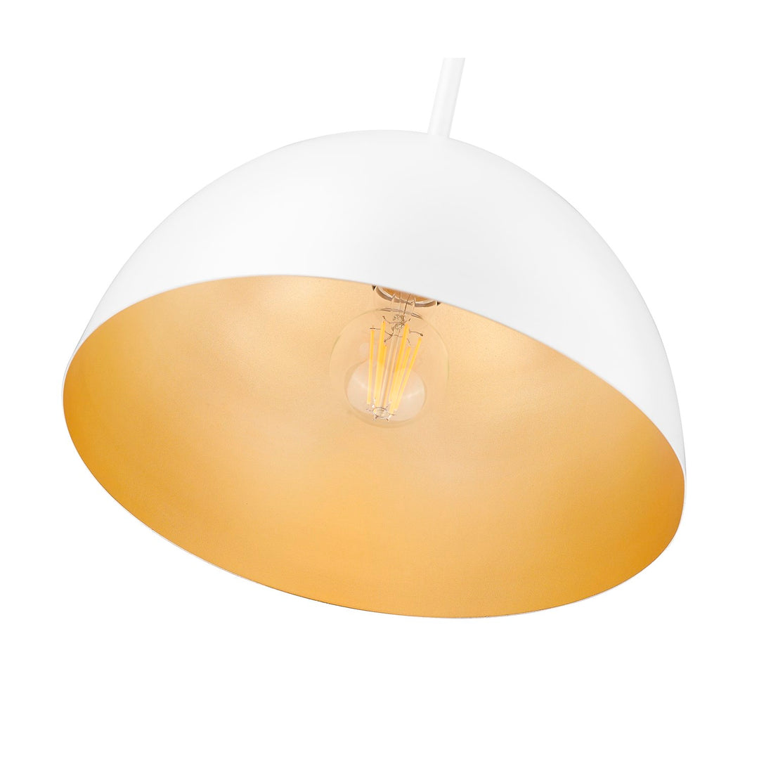 1 Light Pendant