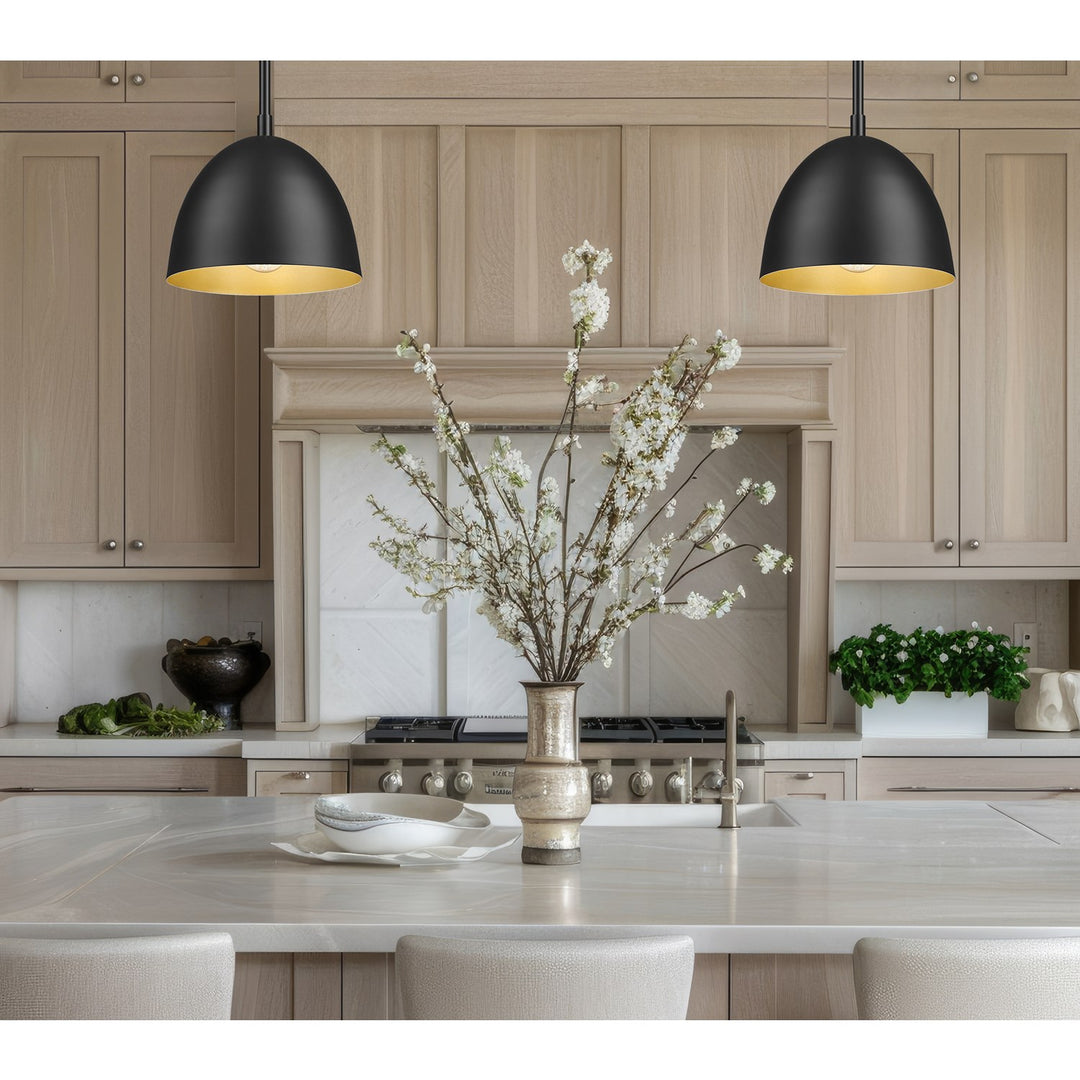 1 Light Pendant