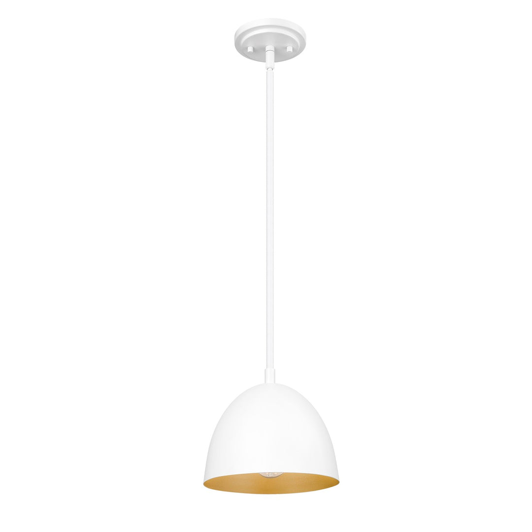 1 Light Pendant