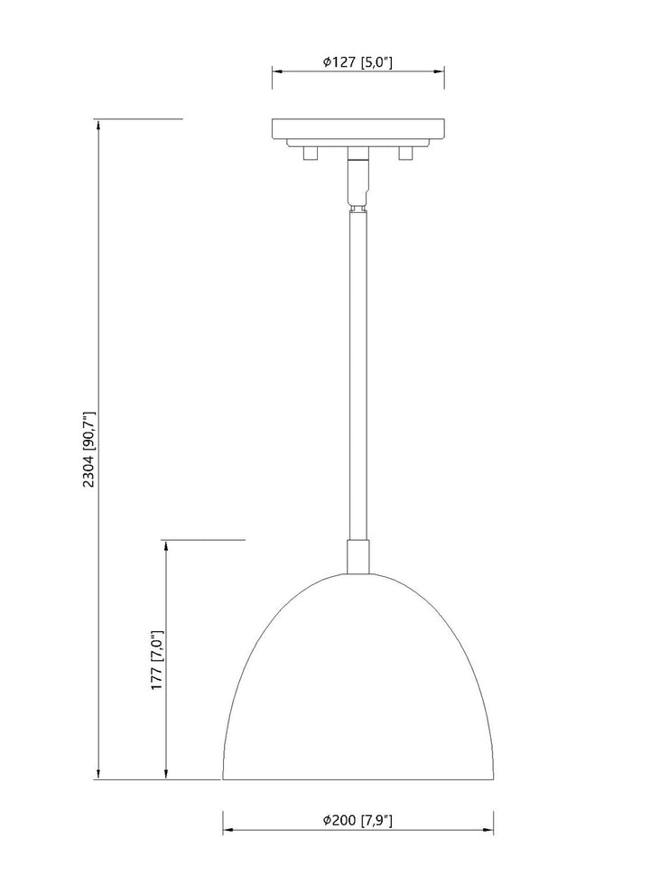 1 Light Pendant
