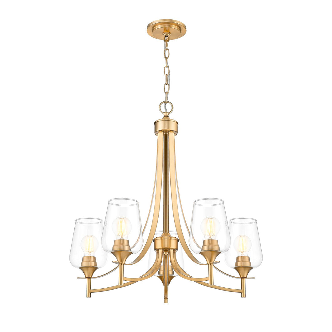 5 Light Chandelier