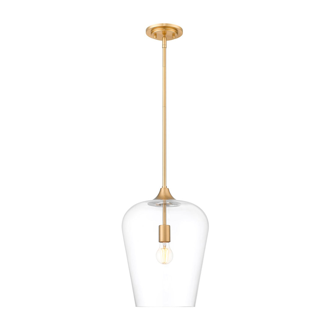 1 Light Pendant by Z-Lite