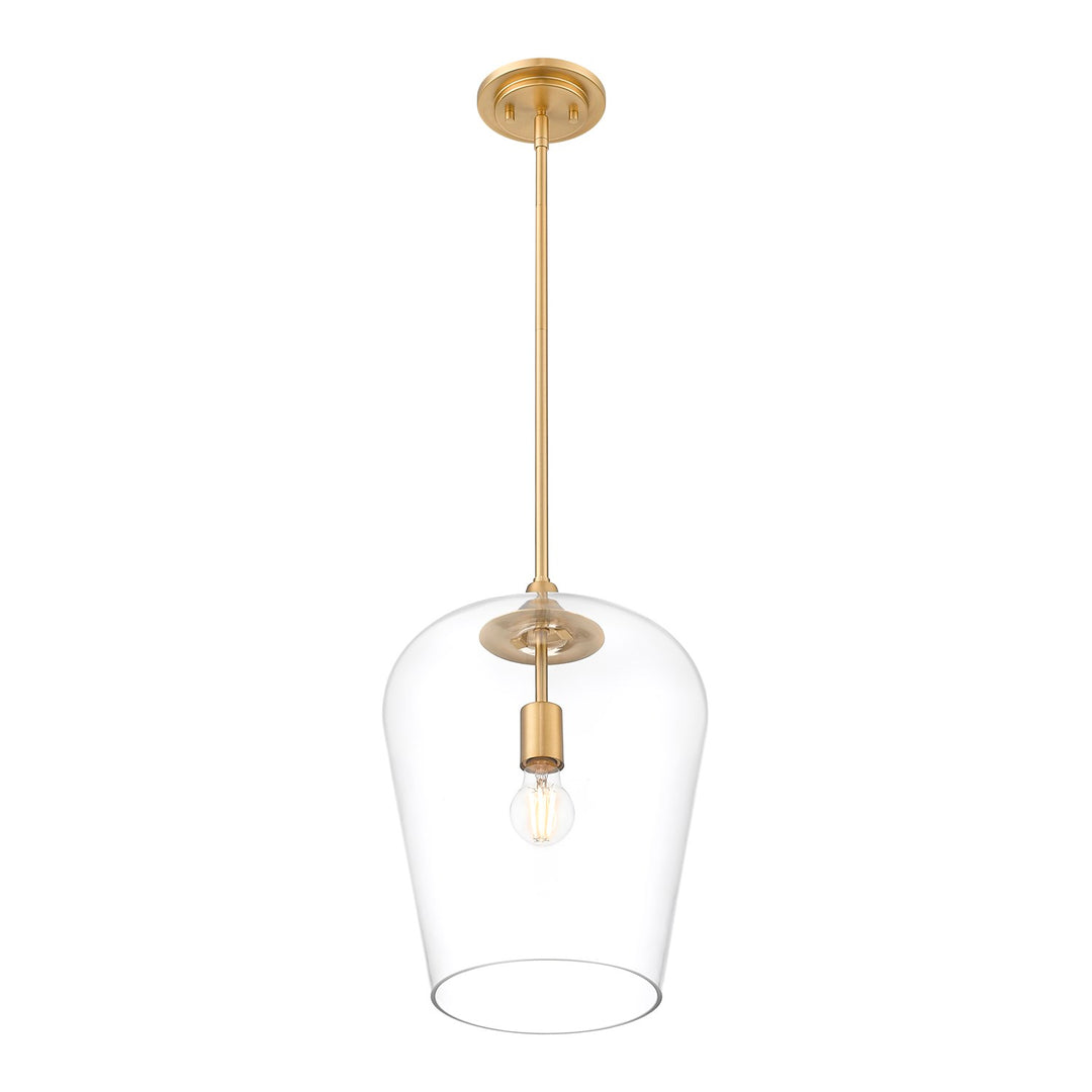1 Light Pendant