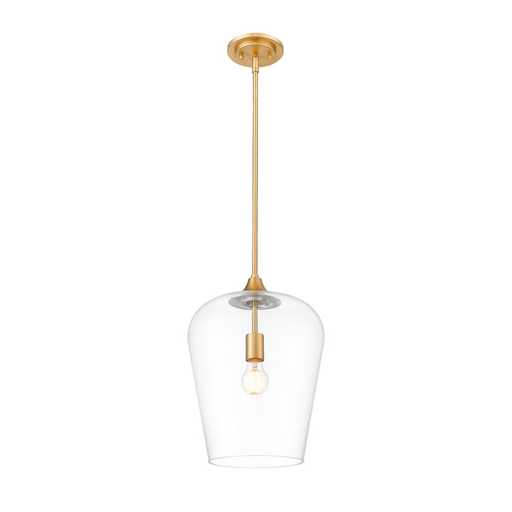 1 Light Pendant