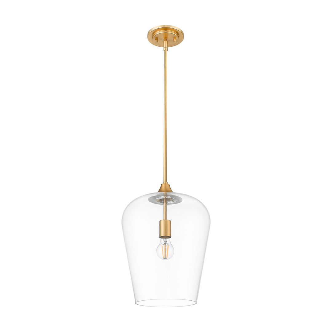 1 Light Pendant