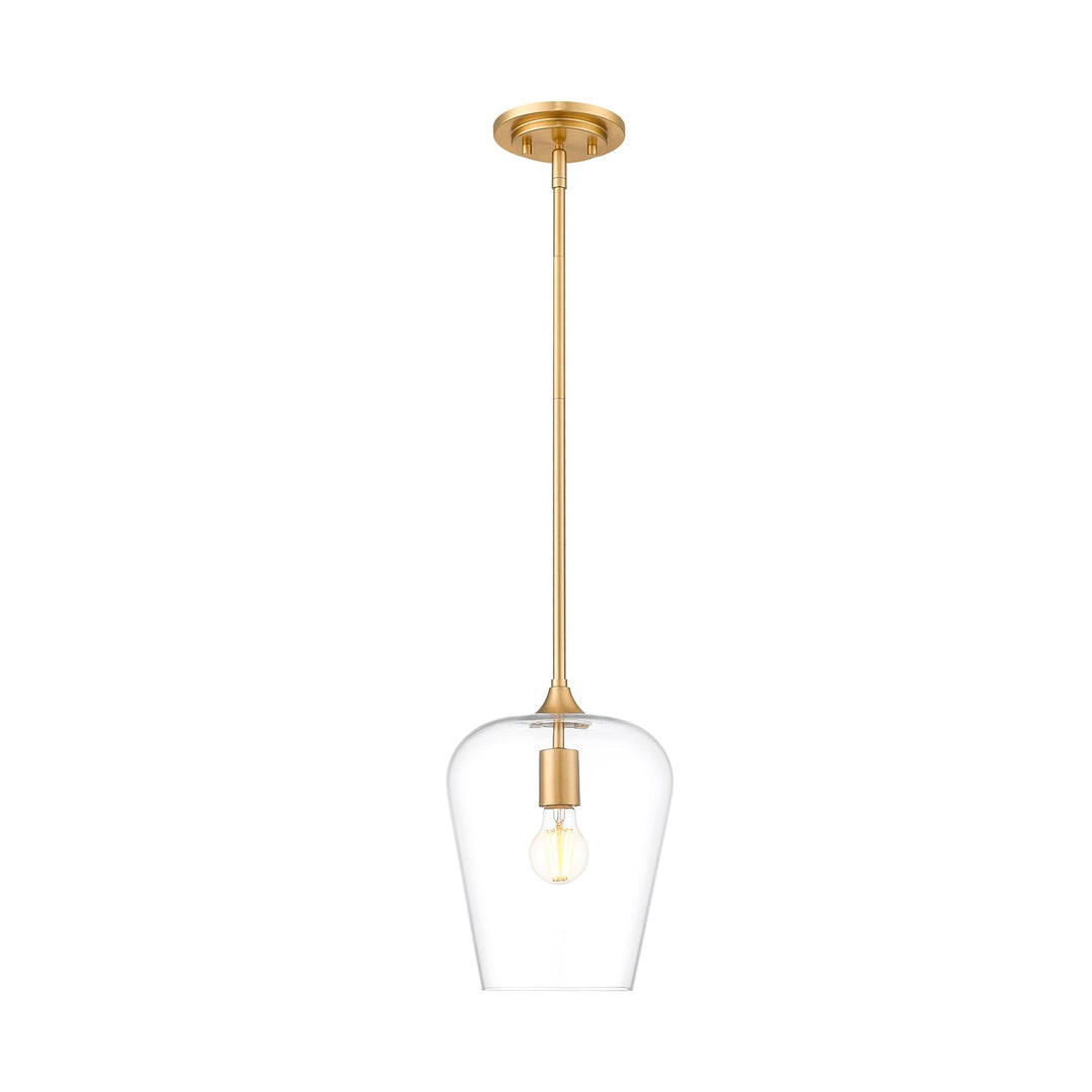1 Light Pendant by Z-Lite