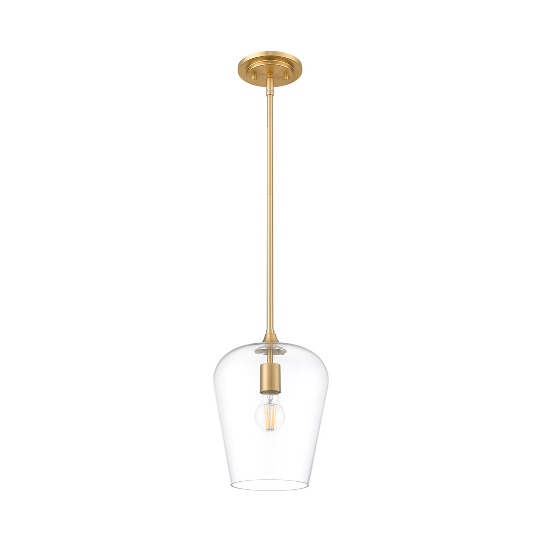1 Light Pendant