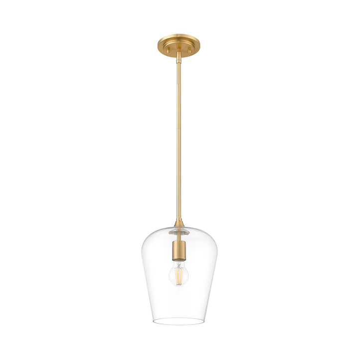 1 Light Pendant