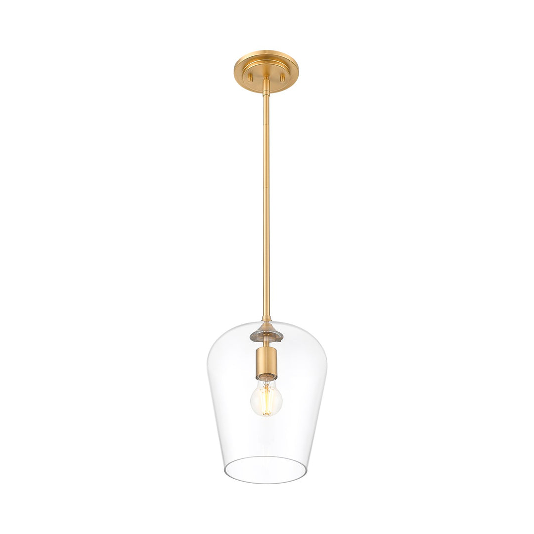 1 Light Pendant