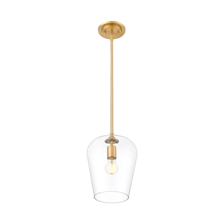 1 Light Pendant