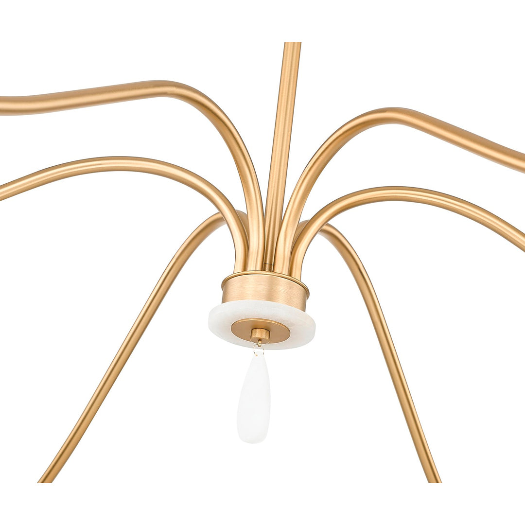 6 Light Chandelier