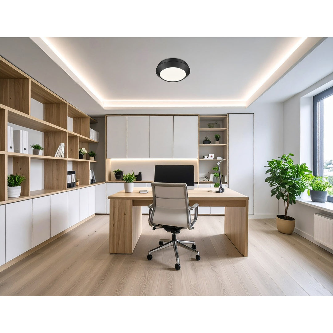 1 Light Flush Mount