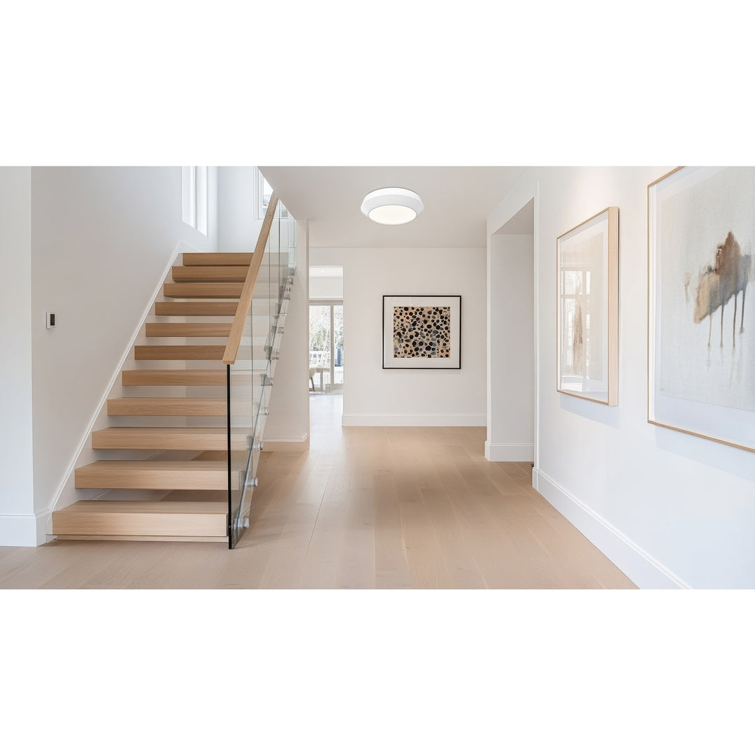 1 Light Flush Mount
