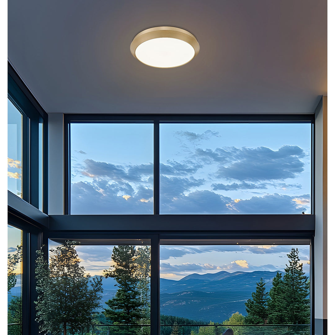 1 Light Flush Mount