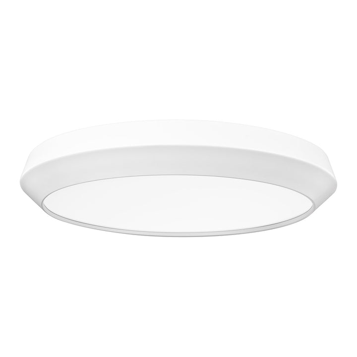 1 Light Flush Mount
