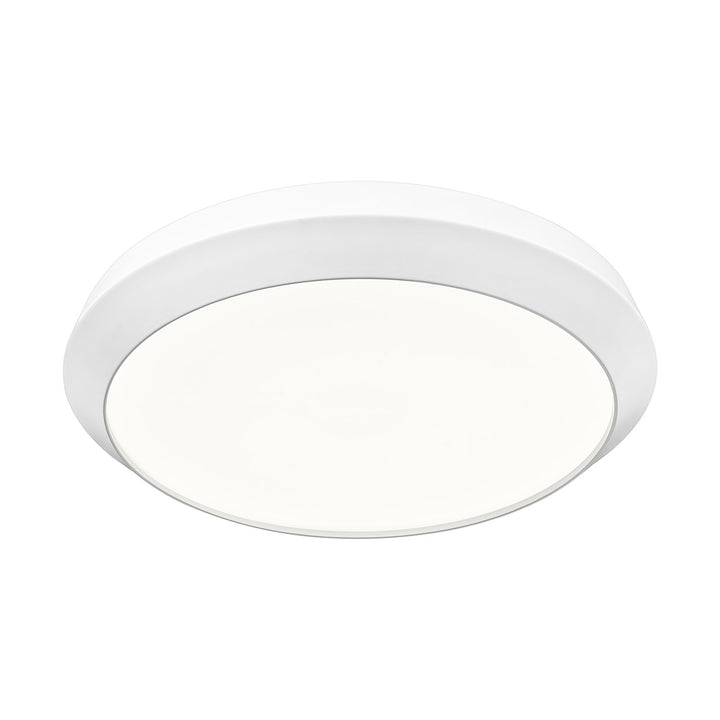1 Light Flush Mount