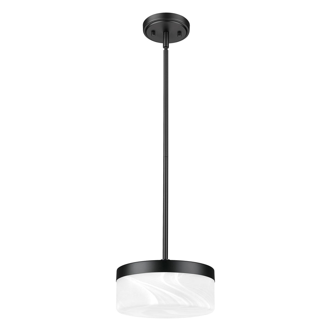 1 Light Pendant
