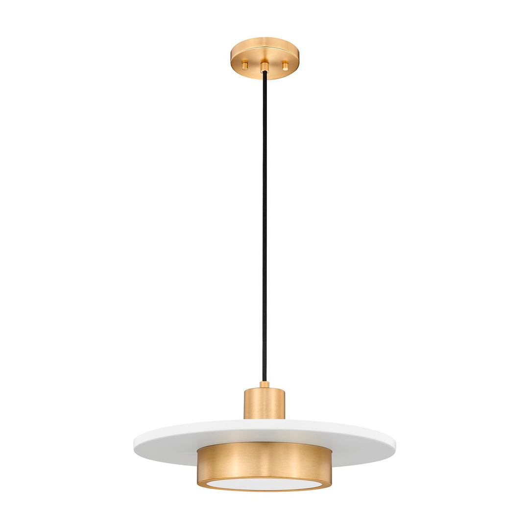 1 Light Pendant