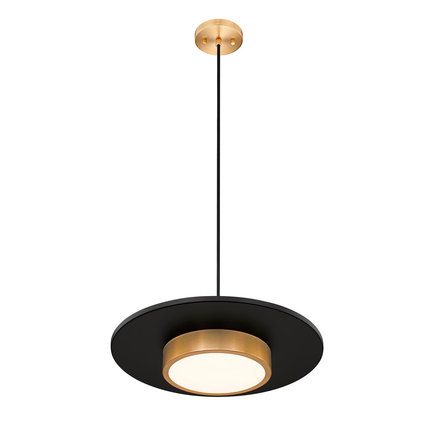 1 Light Pendant