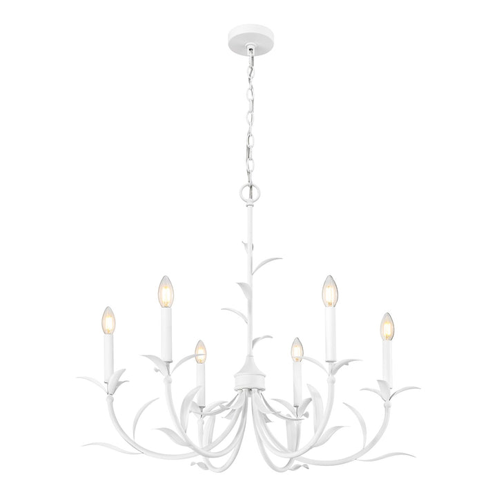 6 Light Chandelier