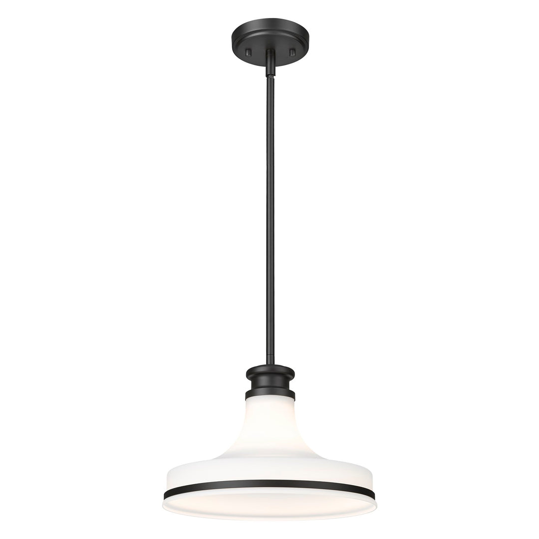 1 Light Pendant