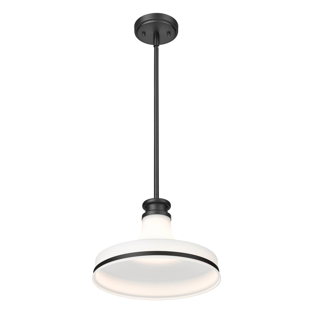 1 Light Pendant